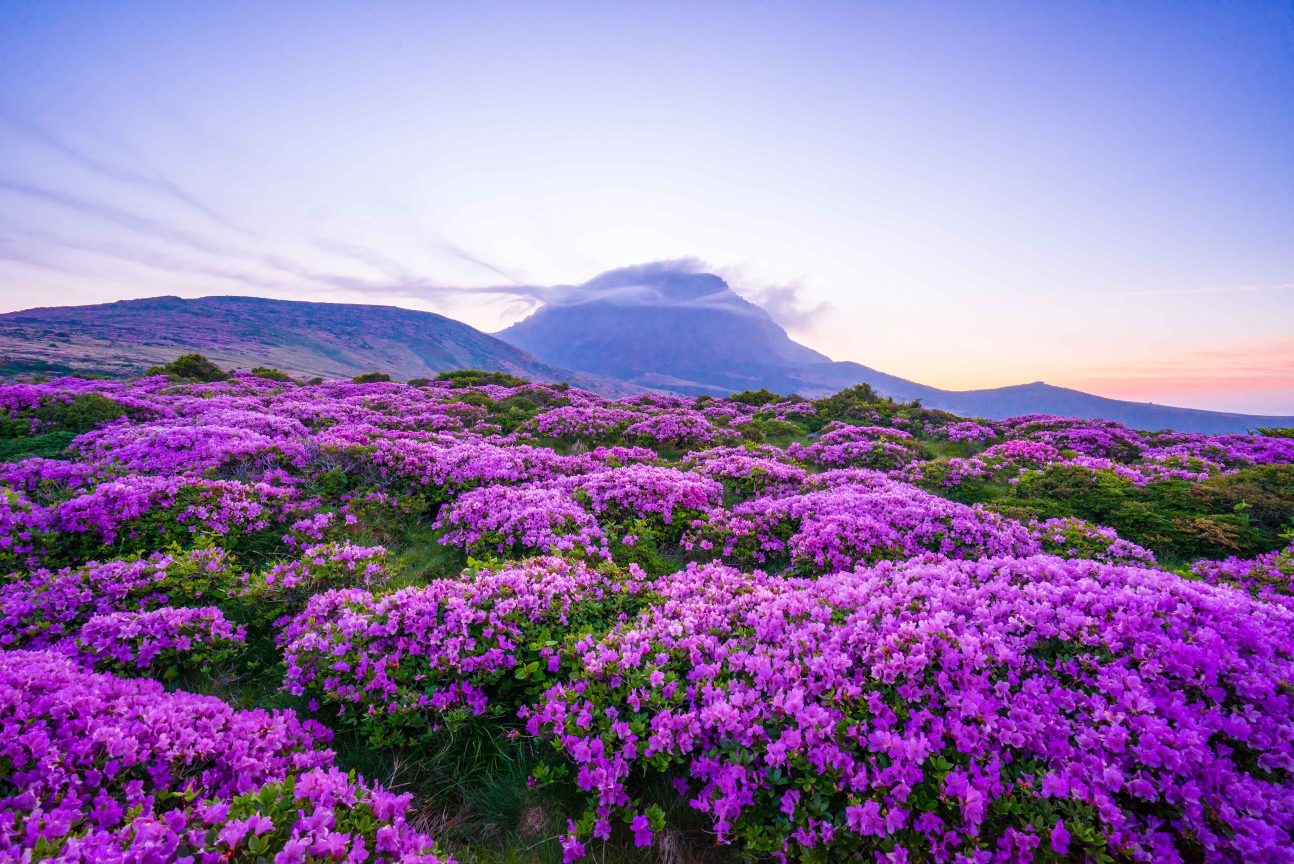 K-UNESCO Jeju Island Cycling Tour